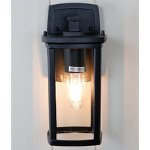Black Remon Outdoor Wall Light